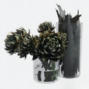 现代植物花瓶 花卉 植物